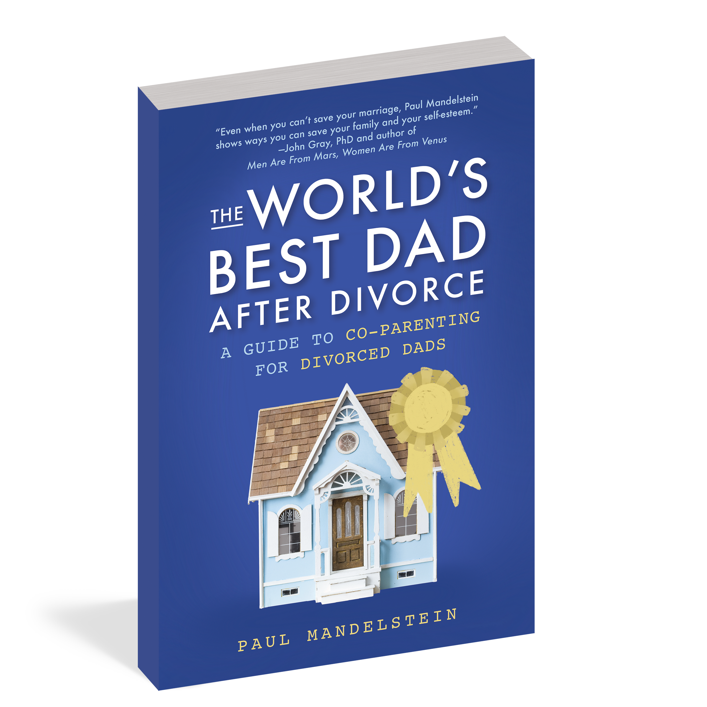 The cover of the book The World's Best Dad During and After Divorce.