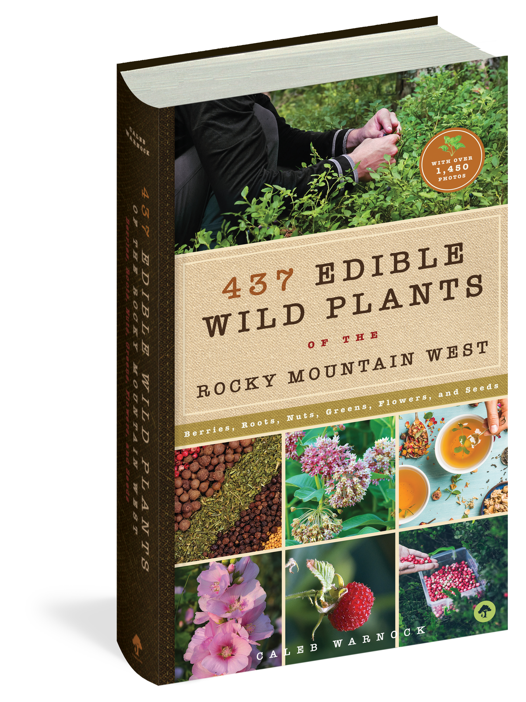 The cover of the reference book 437 Edible Wild Plants of the Rocky Mountain West.