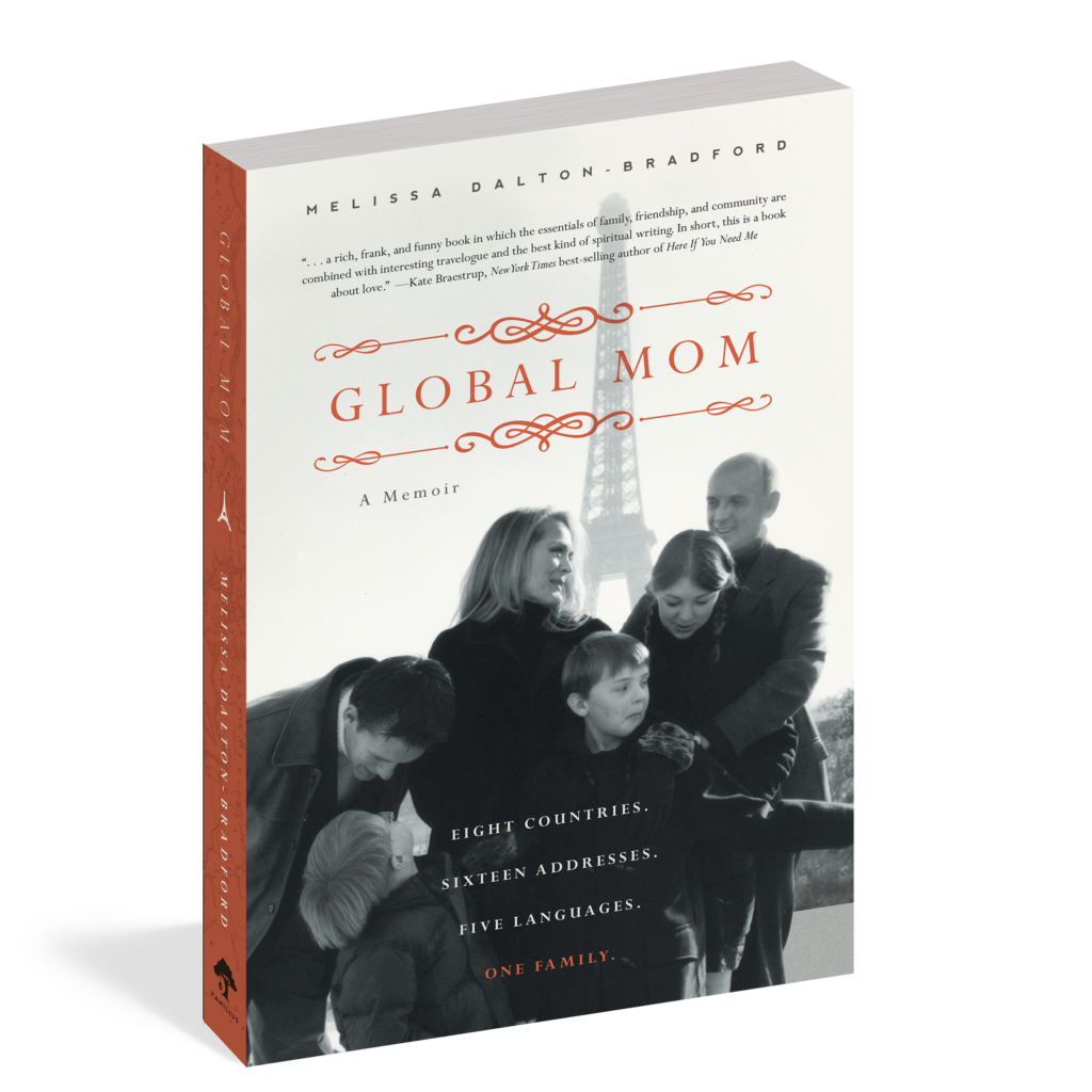 The cover of the book Global Mom.