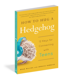The cover of the book How to Hug a Hedgehog.