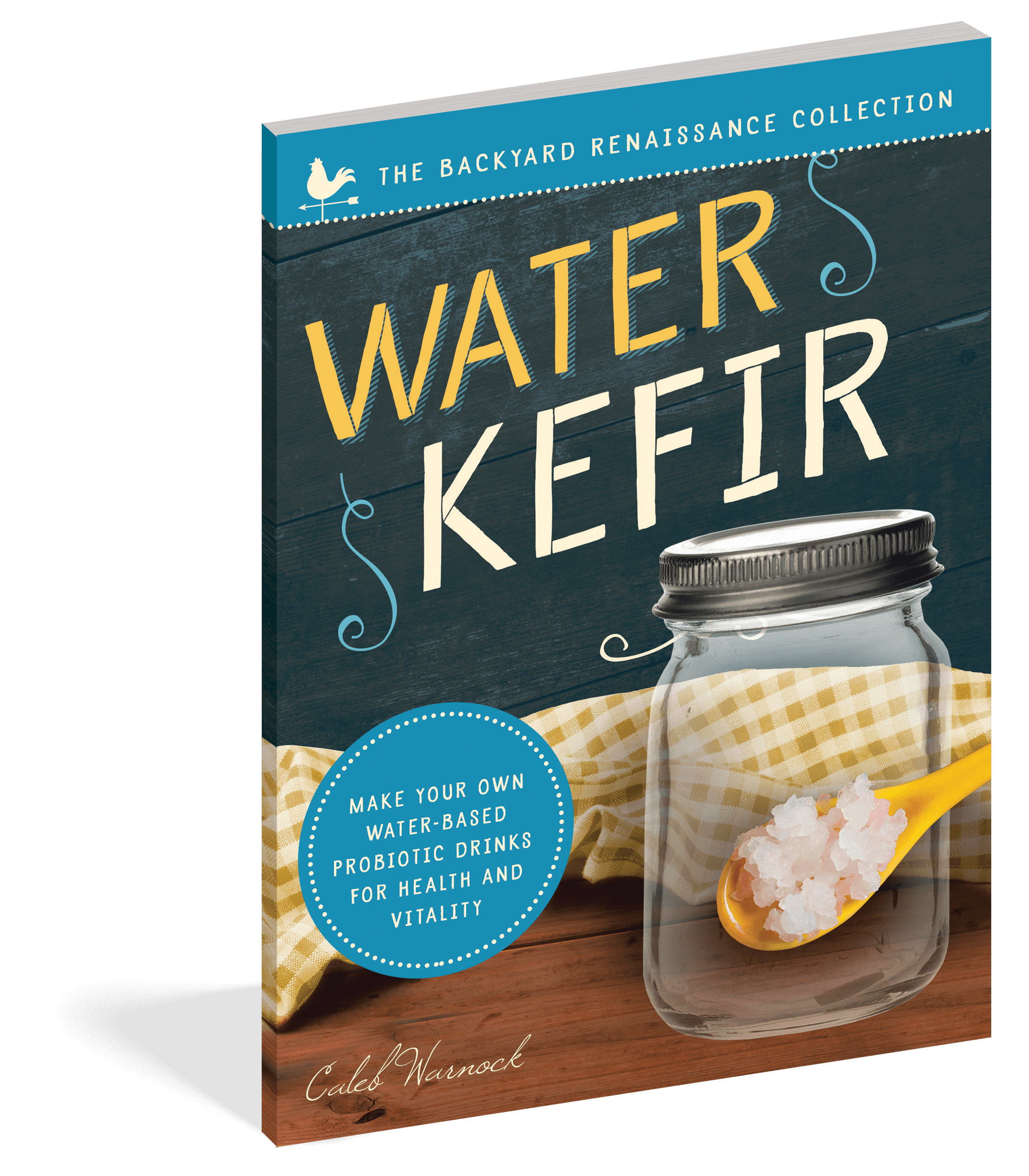 The cover of the book Water Kefir.