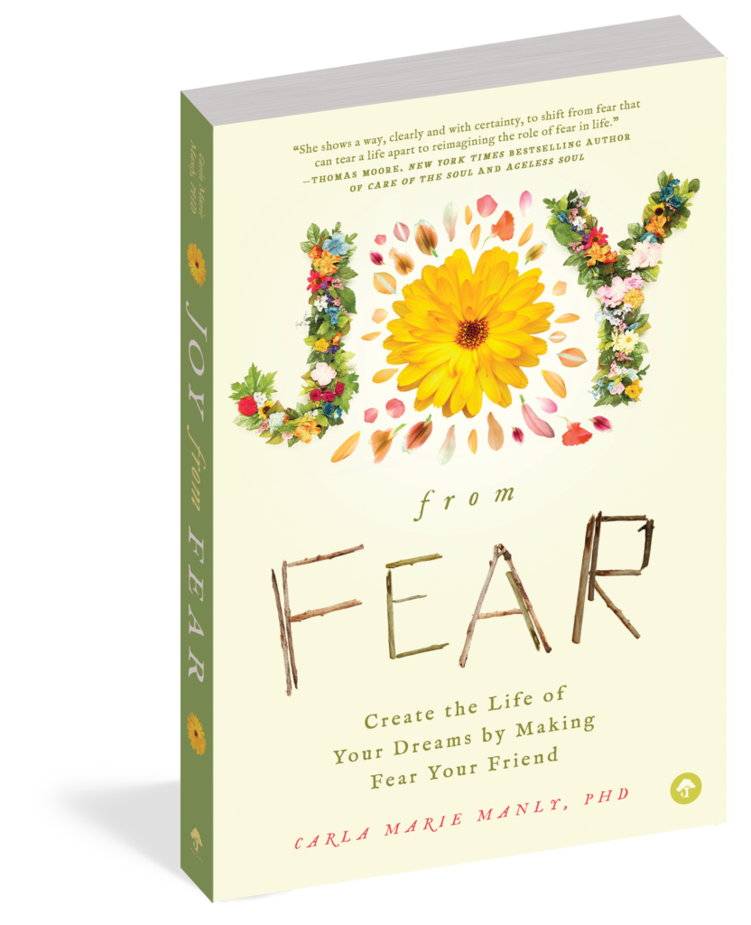 The cover of the book Joy from Fear.