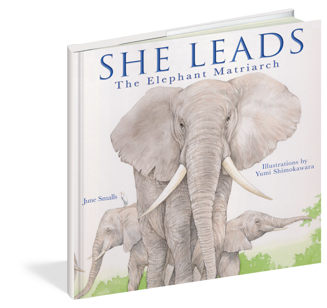 The cover of the picture book She Leads.