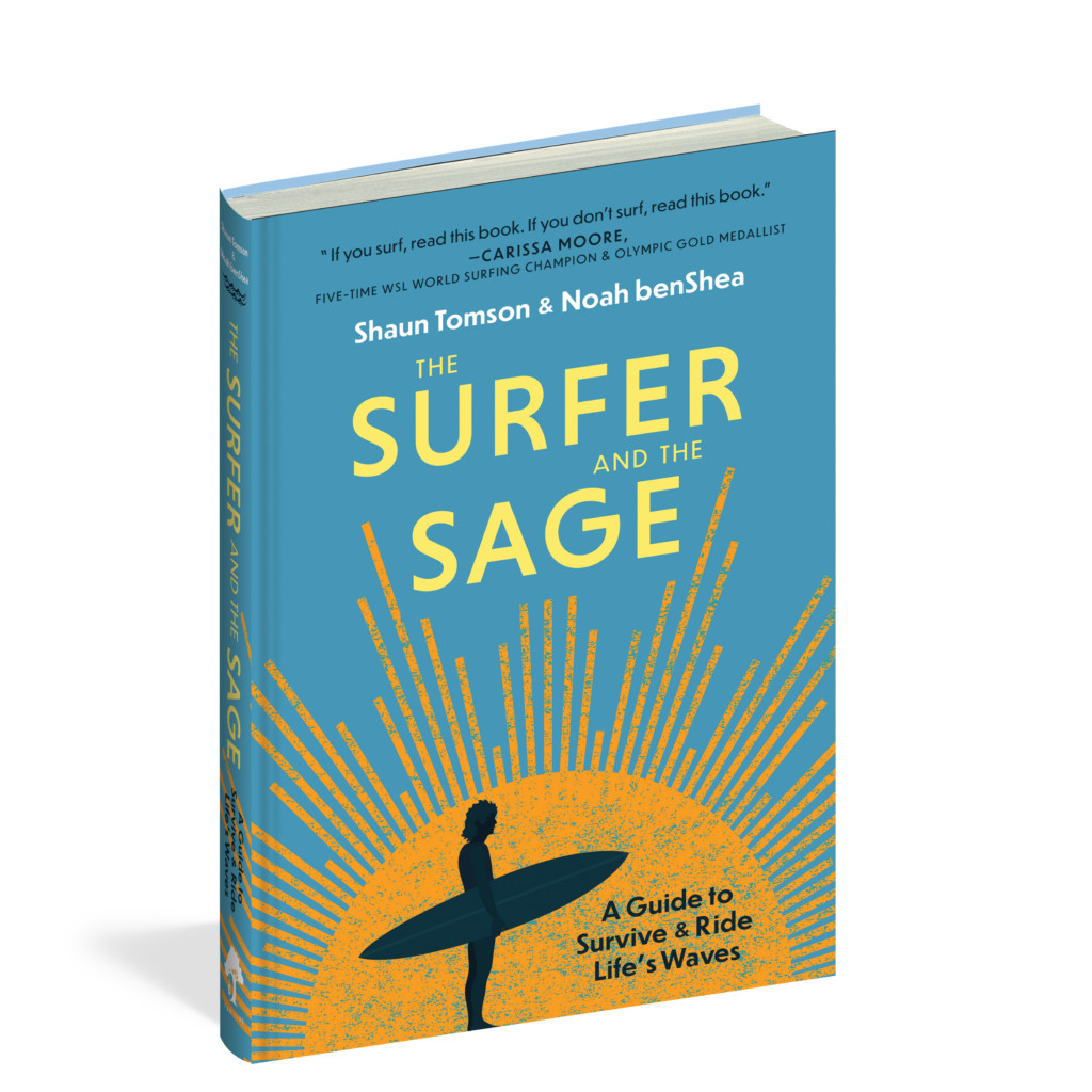 The cover of the book The Surfer and the Sage.