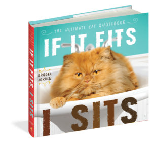 The cover of the book If It Fits, I Sits.