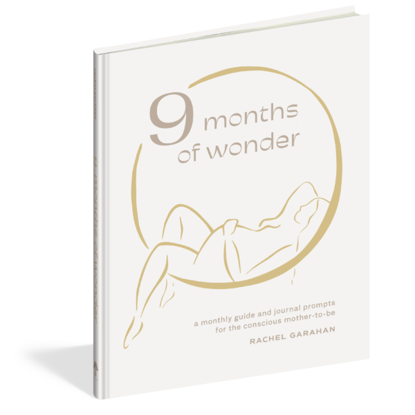 The cover of the guided journal 9 Months of Wonder.