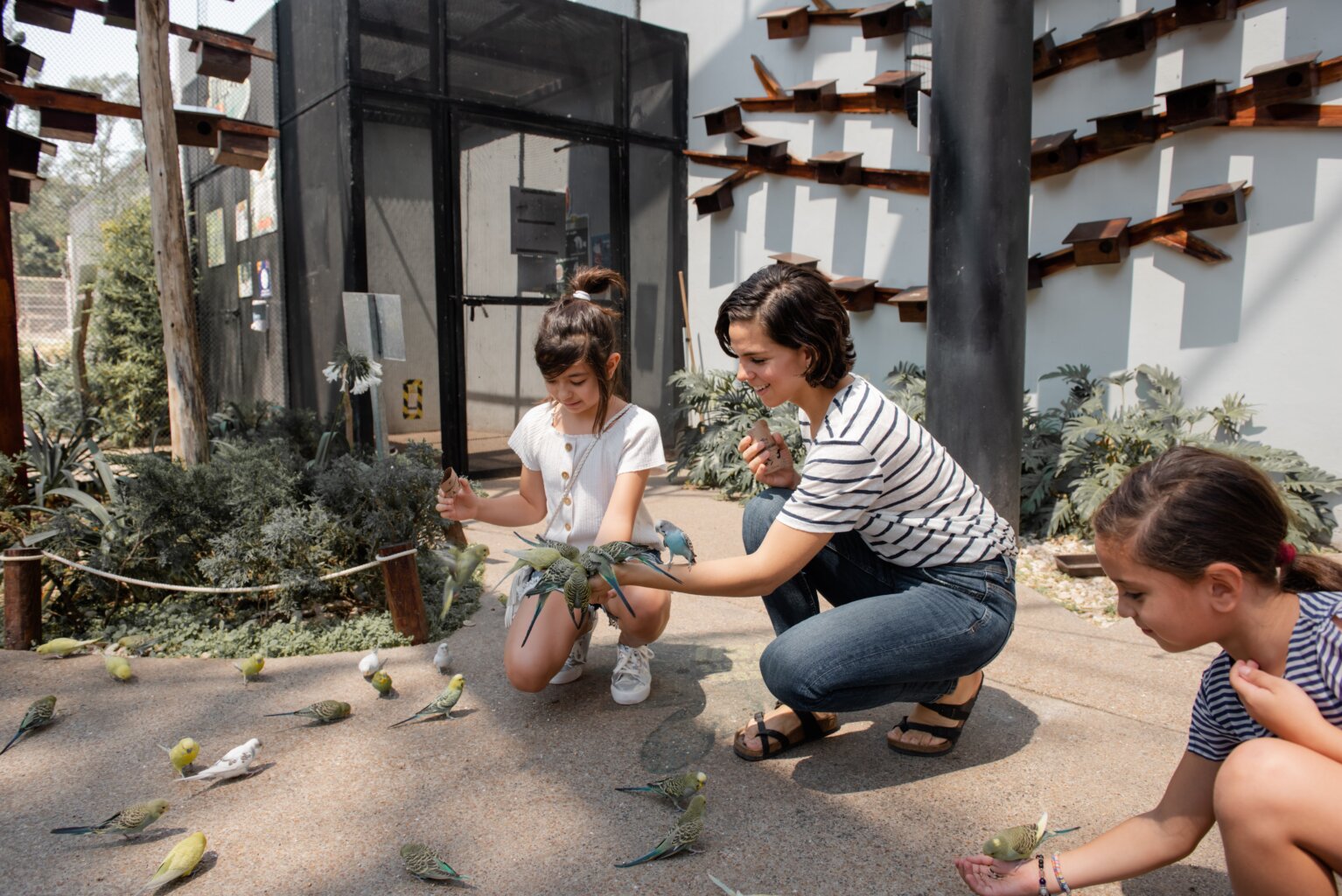 A mother and her two daughters feeding birds in an aviary.